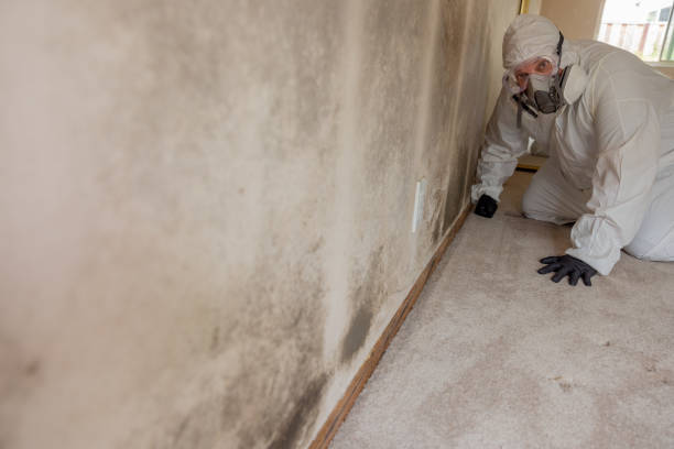 Best Air Quality Testing for Mold Spores  in Bertville, AL